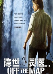 隐世灵医