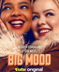 Big Mood第一季