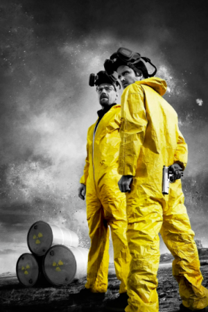 关于毒师的15件小事儿